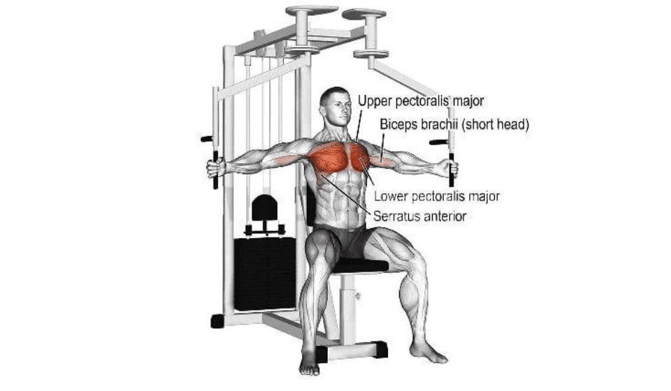 The Chest Fly Machine and Its Benefits